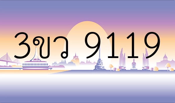 3ขว 9119